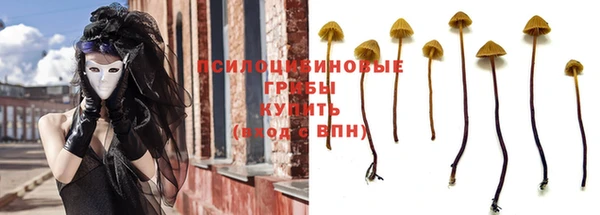 соль ск Краснослободск