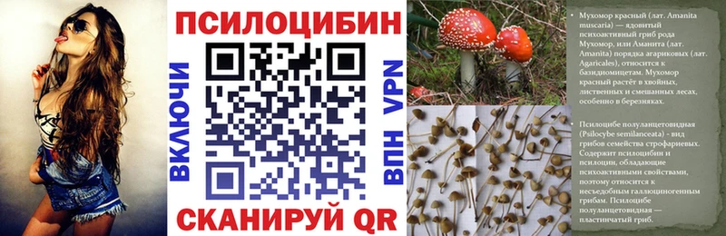 магазин  наркотиков  Малмыж  Галлюциногенные грибы GOLDEN TEACHER 
